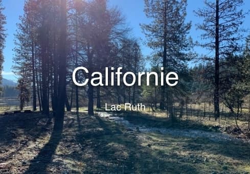 One Tree Planted - California