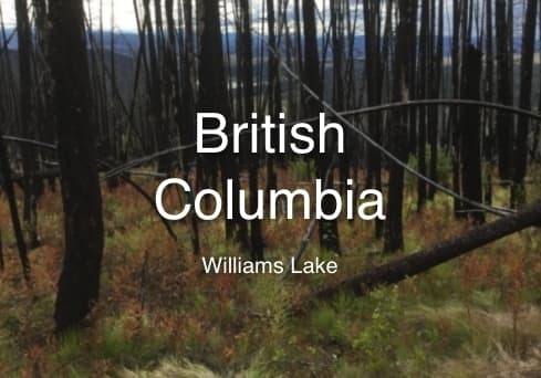 One Tree Planted - BC